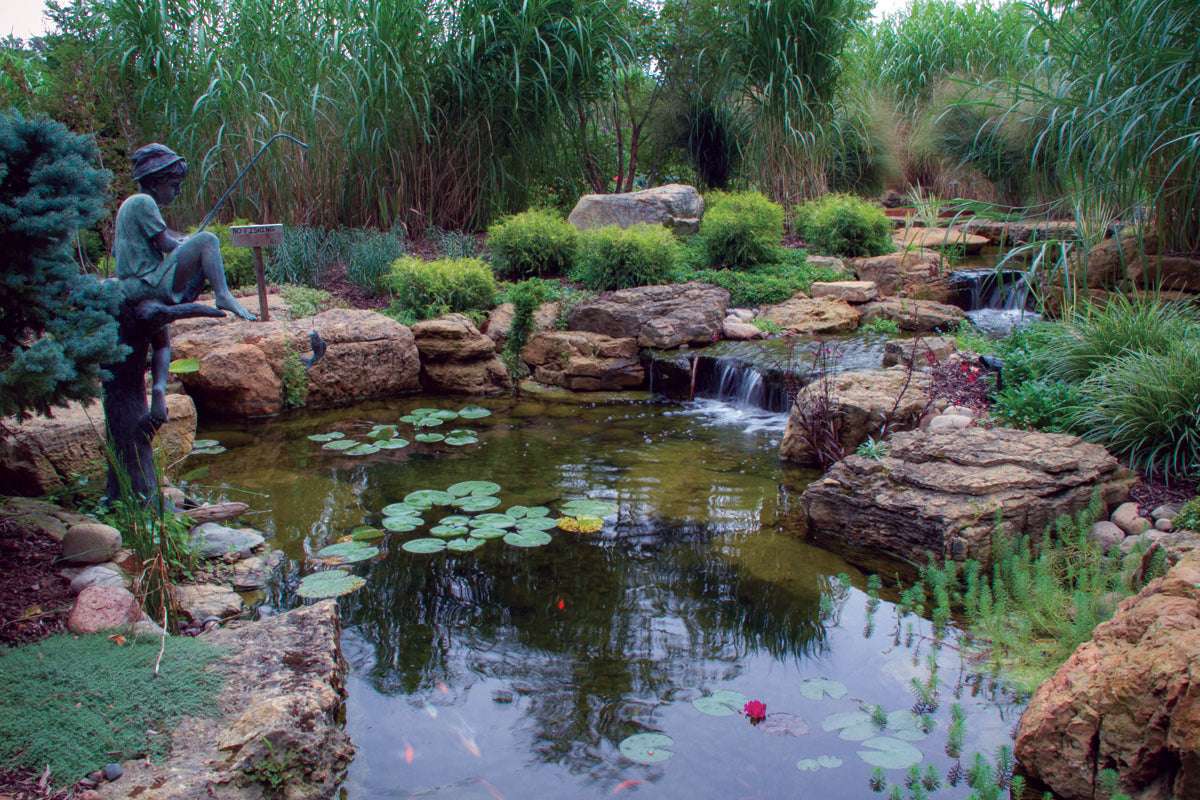 Pond Plant Combinations for Stunning Visual Impact