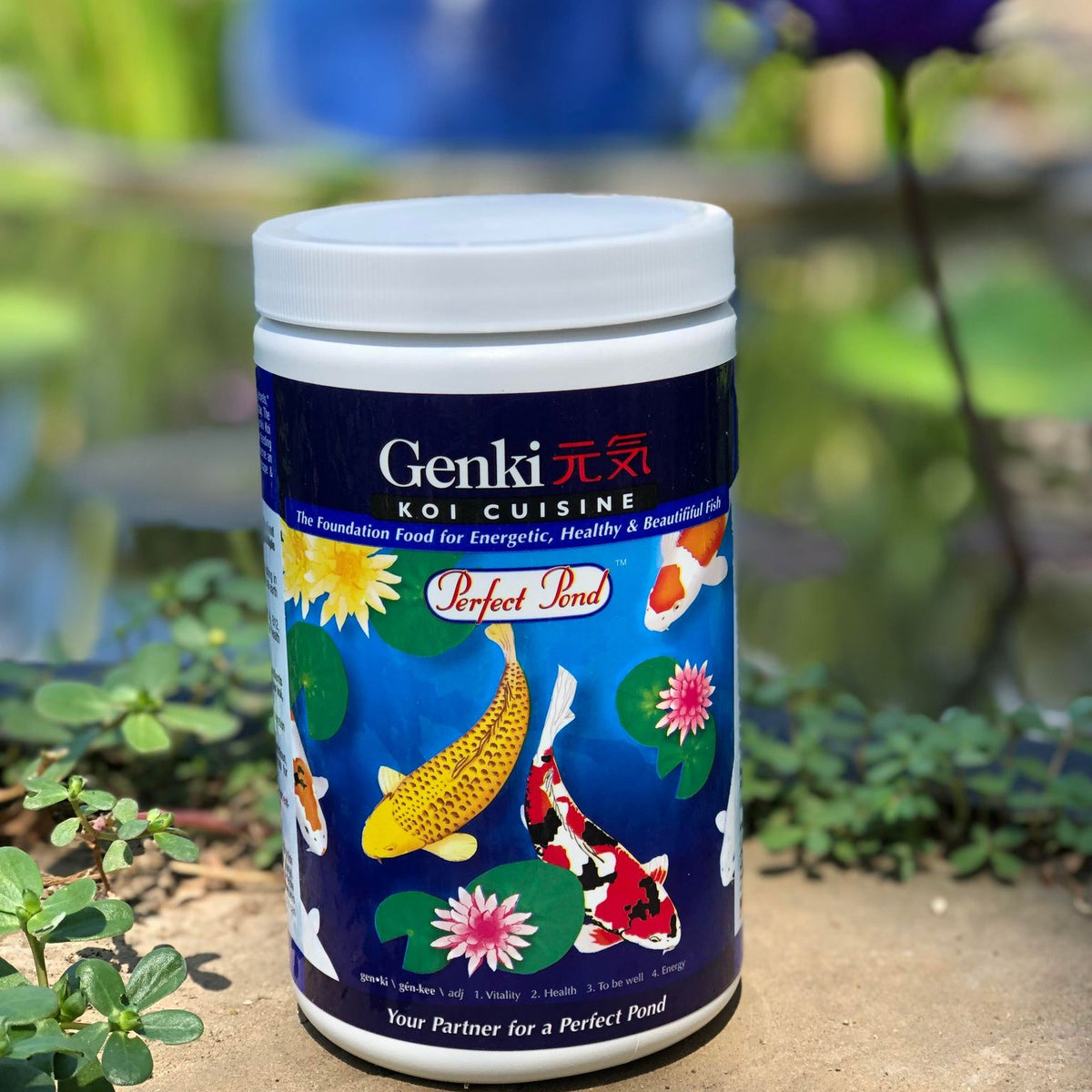 Koi pond fish food sale